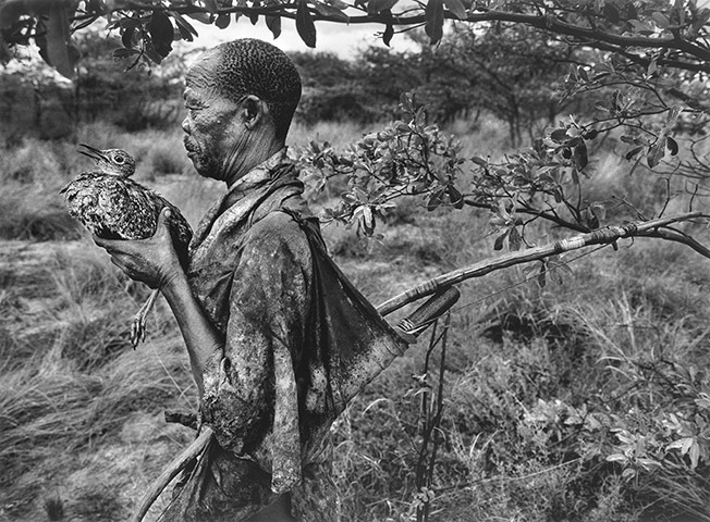 Sebastiao Salgado: A bushman with a captured korhaan, Kalahari desert, 2008