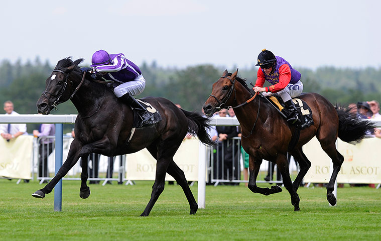 Day 2 Ascot : So You Think Royal Ascot 2012 day two
