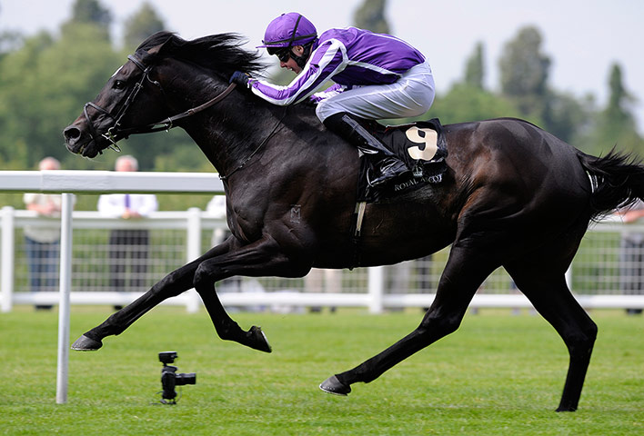 Day 2 Ascot : Royal Ascot 2012 day two