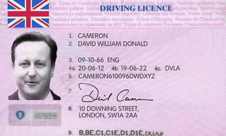 Driving License Template