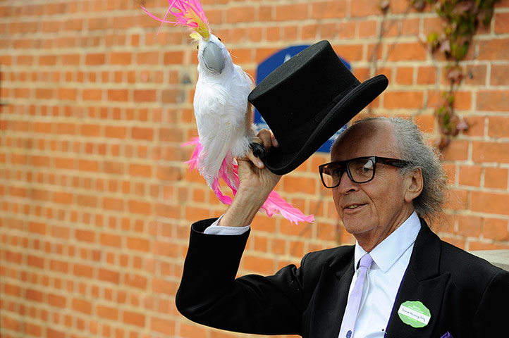 Day 2 Ascot : Punter at Royal Ascot 2012 day two