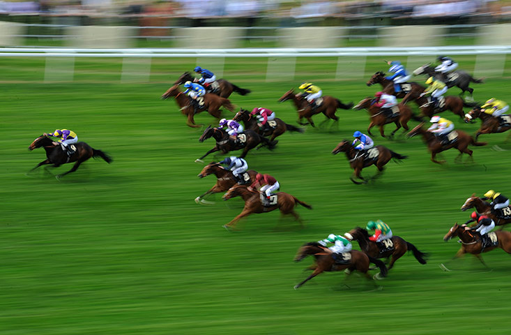 Day 2 Ascot 2: Ceiling Kitty at Royal Ascot 2012 day two