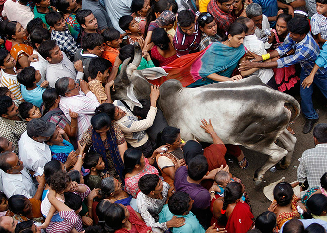 24 hours in pictures: Rath Yatra in India