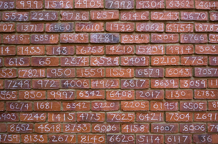 Mark Wallinger: The Other Wall, 2012