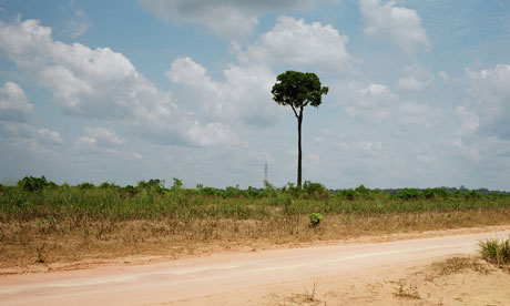 Developed Brazil