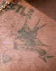 tattoos/swallows