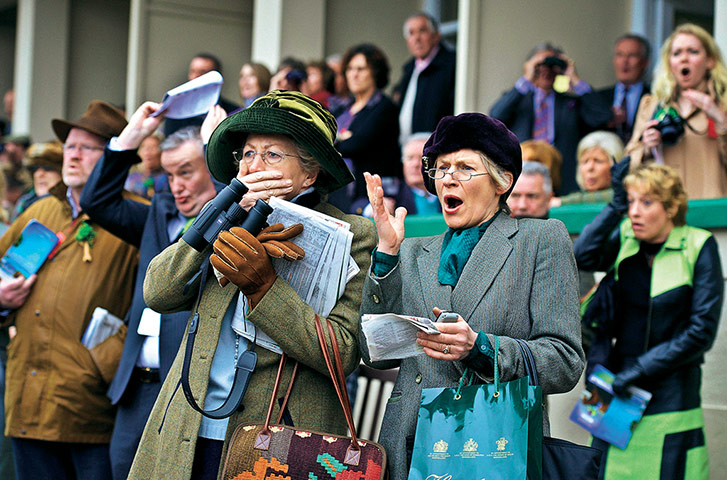 Tom Jenkins: Spectators react to a pile-up at the 2010 Cheltenham Festival