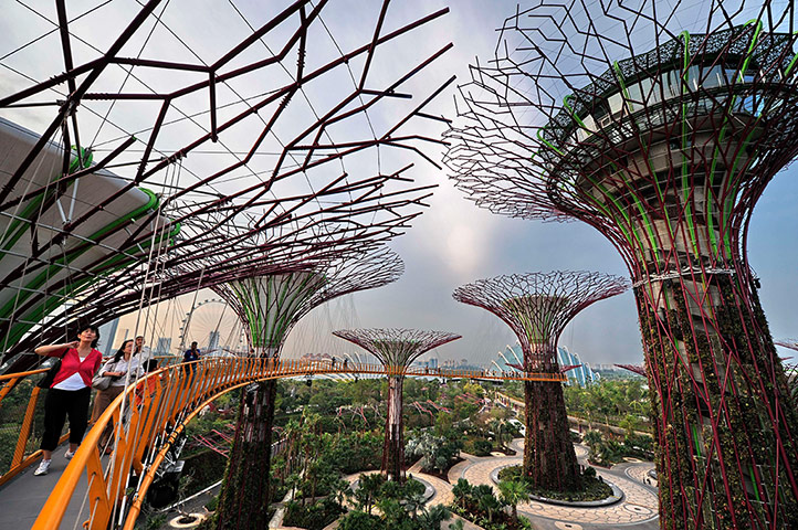 Picture Desk Live: Visitors meander on the skyway walk link