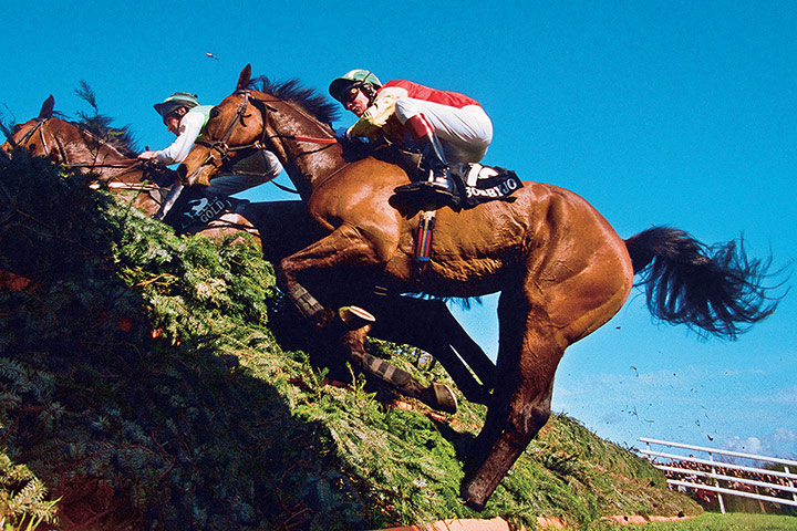 Tom Jenkins: Grand National winner Bobbyjo, ridden by Paul Carberry, Aintree, 199