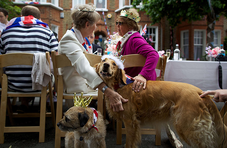 24 hours: Republicans and their dogs wear crowns at a Jubilee street 