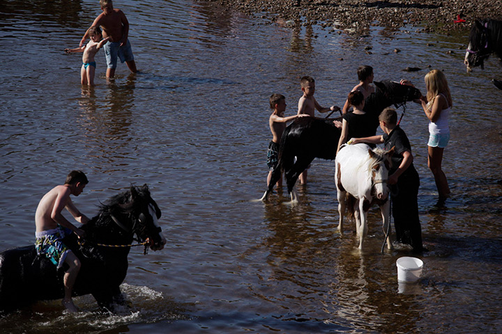 mark pinder exhibition: Mark Pinder at Hexham Queens Hall