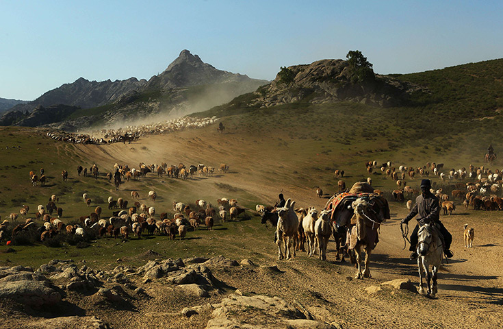 24 hours: Altay, China: Kazakh nomads herd their livestock 