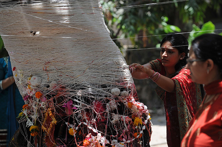 24 hours: Mumbai, India: A married Hindu woman performs a ritual during Vata Poornima