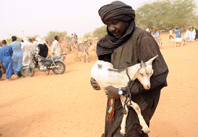 Shepherd in Mauritania