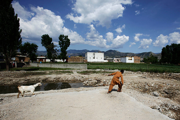 Shepherds: a youth uses a rope to pull his goat