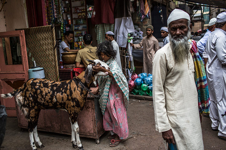 Shepherds: a woman plays with a goat 