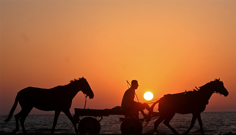 From the Guardian -  man in cart drawn by donkey on Gaza's beachfront - photo by Rex Features