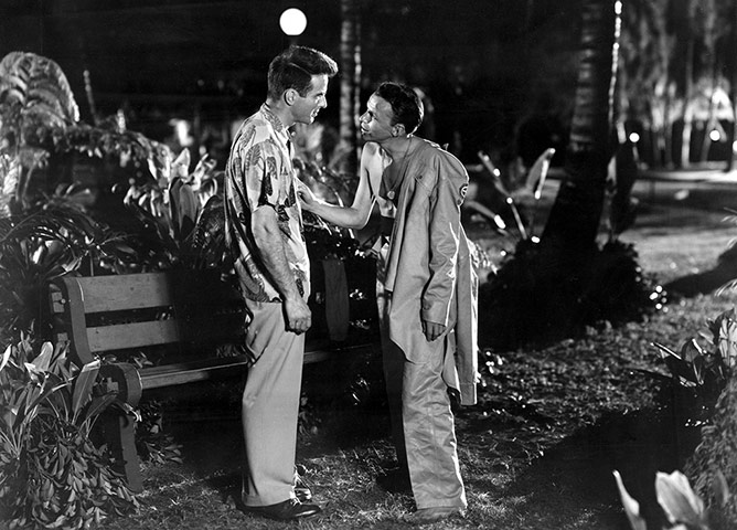 Best pop stars: From Here to Eternity