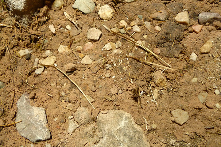 Exhibitionist 0906: Richard Rigg