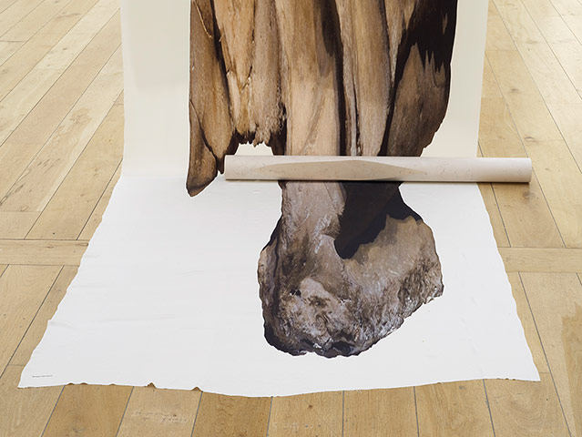 Exhibitionist 0906: Alice Channer