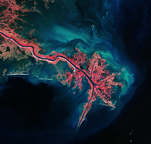 Satellie Eye on Earth: The Mississippi River Delta
