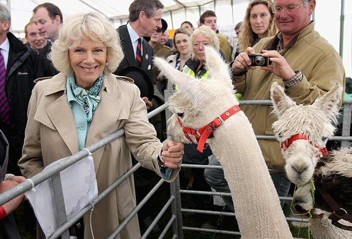 Picture Desk Live: The Duchess of Cornwall Visits the Royal Cornwall Show