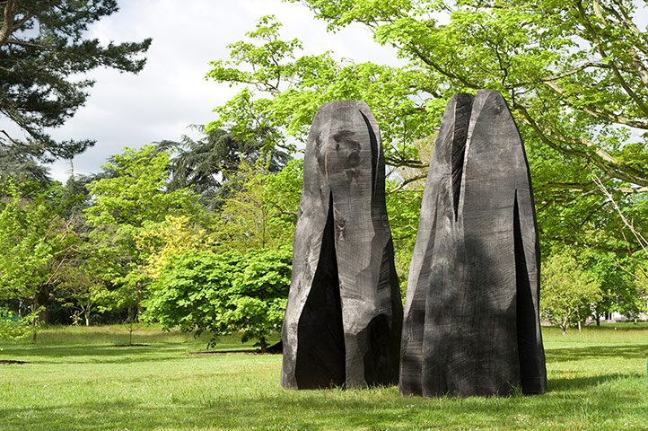 David Nash: Two Sliced Cedars, 2010