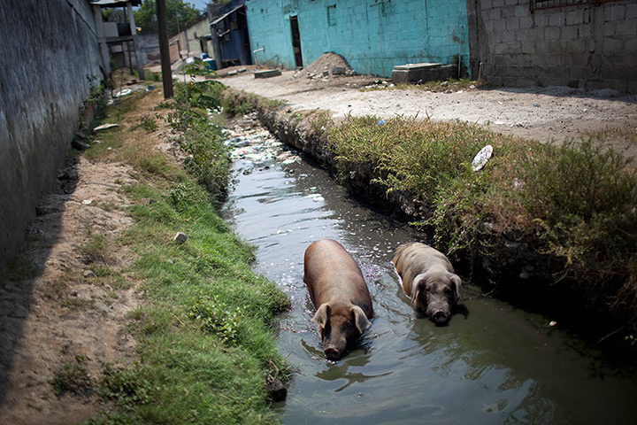 from the agencies: Honduras prisons by Rodrigo Abd
