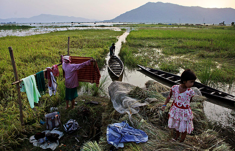24 Hours: An Indian man pushes a boat in a paddy field which is flooded by rain water