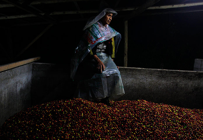 24 Hours: A Peruvian farmer, wearing plastic sheets to cover himself from the rain