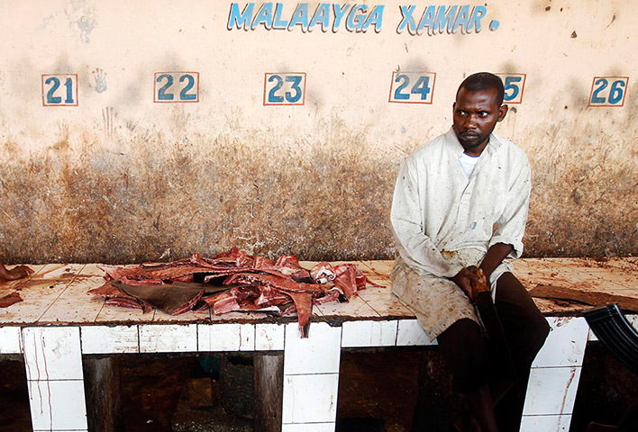 Somalia Goran Tomasevic: A man sells shark fins in a fish market in Mogadishu