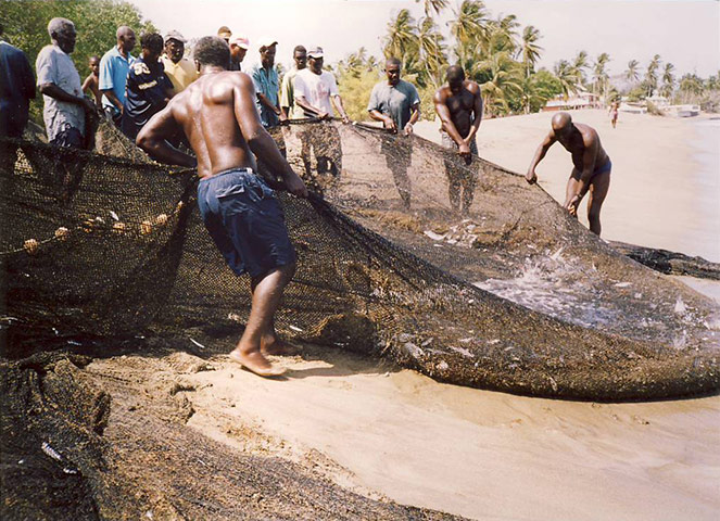 Your Pictures: The locals haul in the catch. They each bring a bucket so they can share