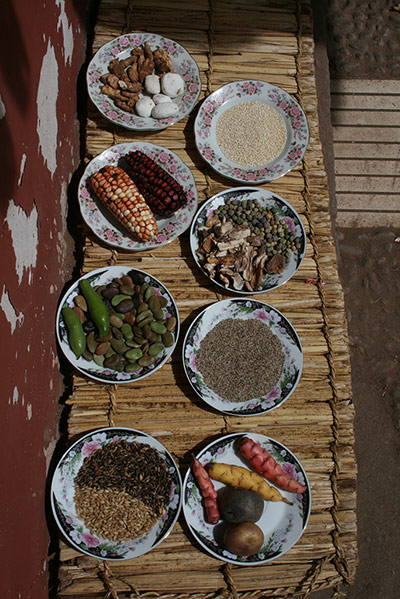 Your Pictures: Our Peruvian family lay out the ingredients for our forthcoming feast