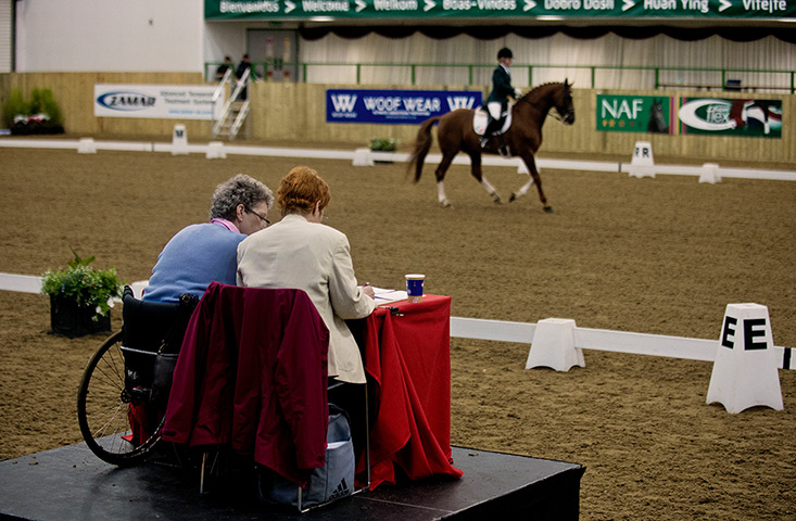 Critics and Olympiads: GB Para Equestrian team judges