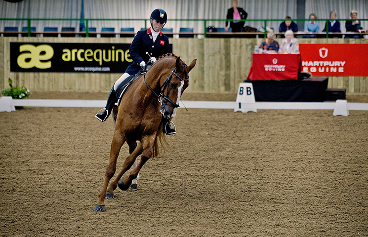 Critics and Olympiads: Sophie Wells during the qualification