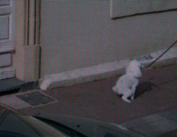 Google: paris street view