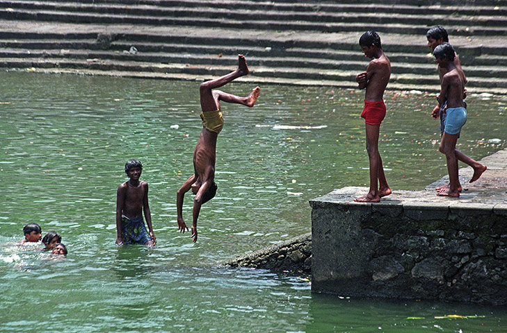 week in wildlife: Diving in India