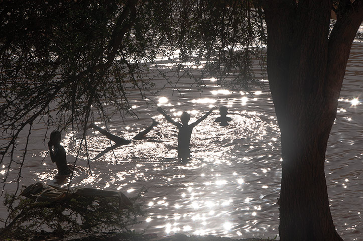 week in wildlife: River swimming in Niger