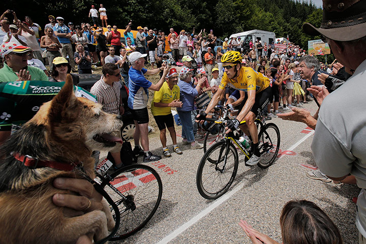 Picture Desk Live: Brr4adley Wiggin in the Tour de France