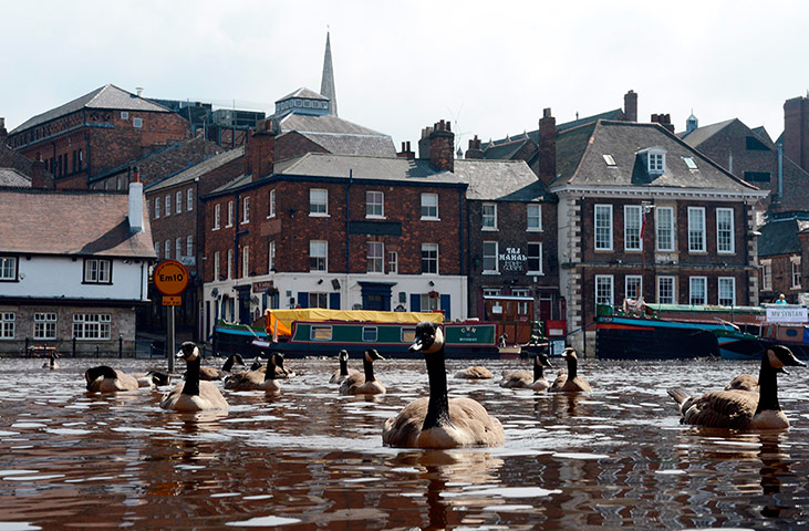 A Longer View - Flooding: River Ouse burst its banks and following heavy rainfall