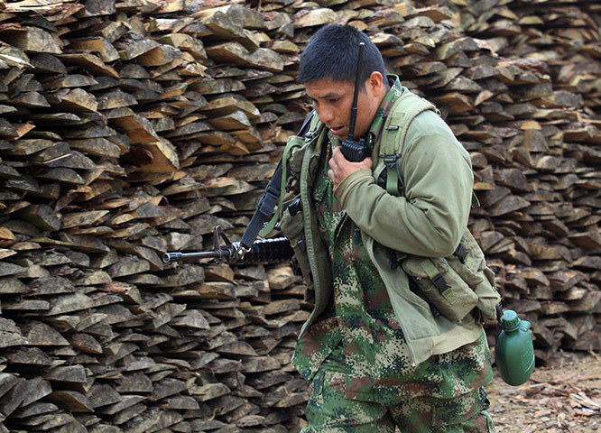 FARC in Colombia: FARC