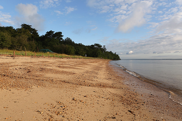 Osborne Bay: The royal children collected shells from the shore