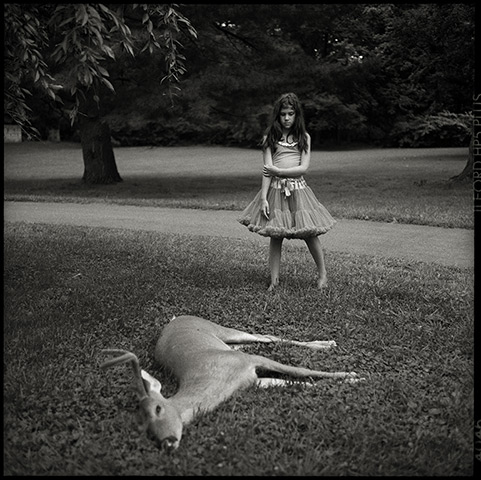 RPS print exhibition: Dead Deer. This photo was taken last summer in Princeton, New Jersey