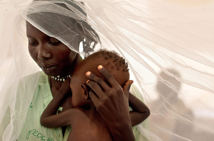 Picture desk live update : Picture desk live update