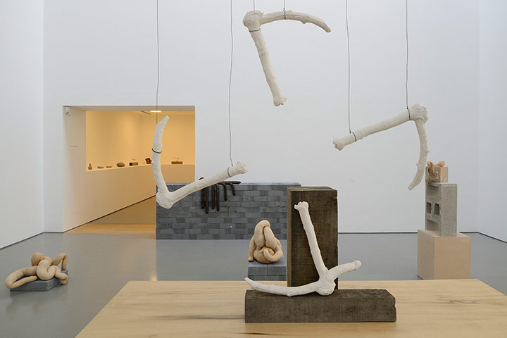Sarah Lucas: Henry Moore Institute gallery 2, foreground King