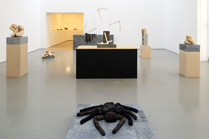 Sarah Lucas: Henry Moore Institute, gallery 2