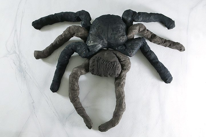 Sarah Lucas: Big Fat Anarchic Spider
