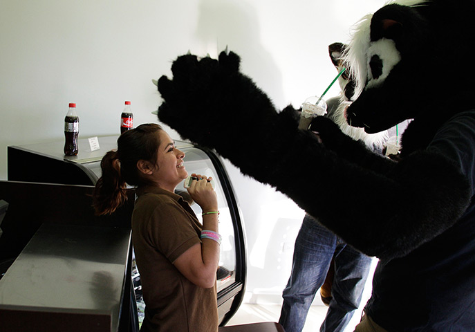 Furros Nuevo Leon: Leo and Adrian, dressed as wolves, share a moment with a barista 