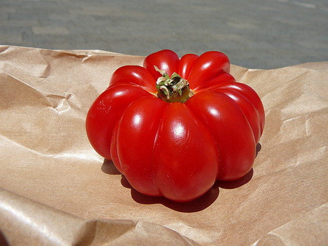 Your Pictures: Delicious: Large tomato