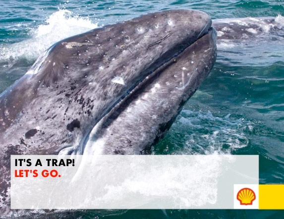 Shell ads contest: Let's Go Public on Arctic Ready